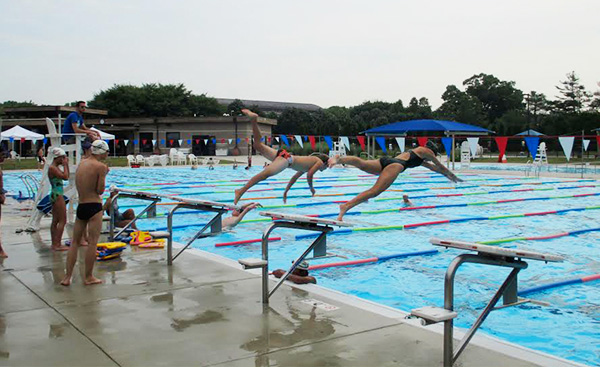 Bluefish Swimming 1